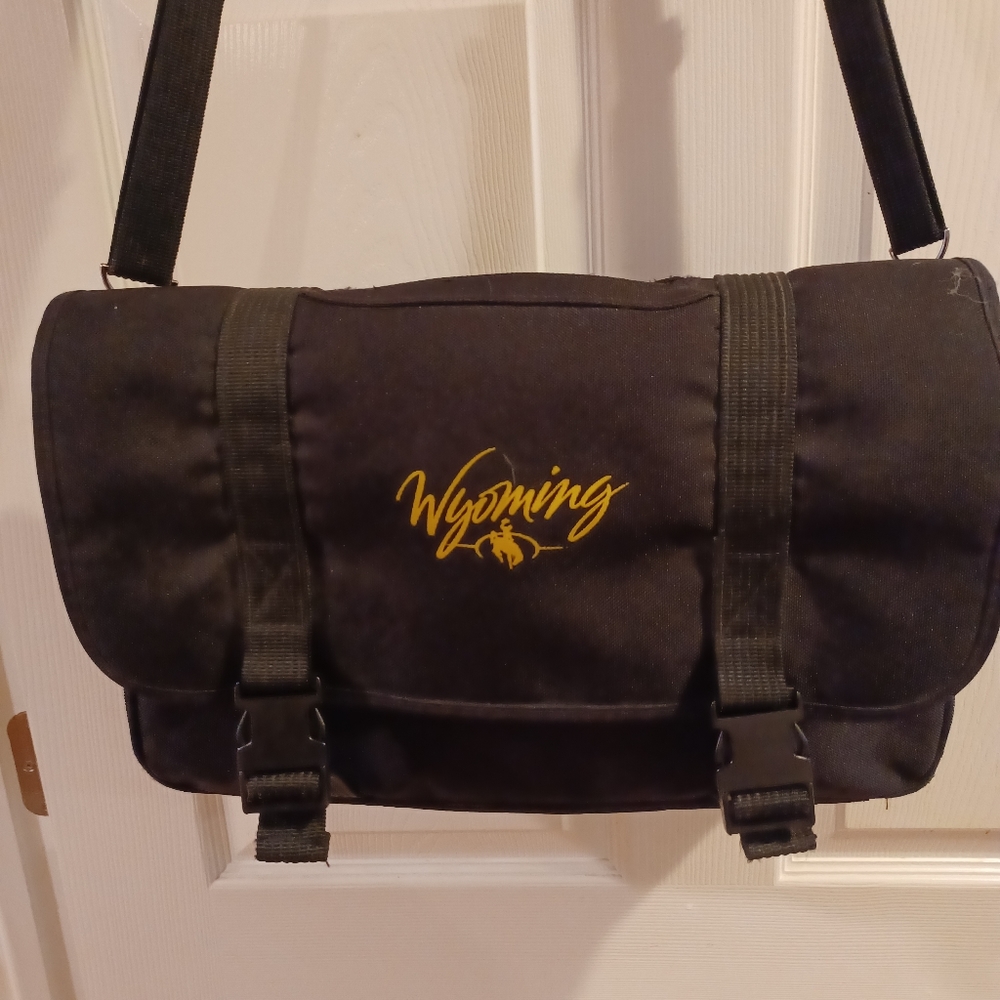 Satchel for work and laptop carrier